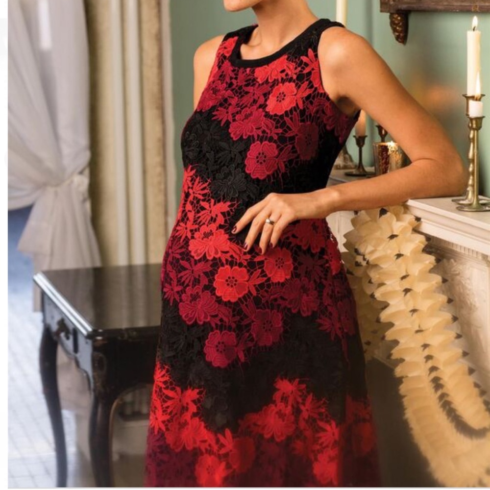 Taylor for Pea in the Pod Red Lace Maternity Dress